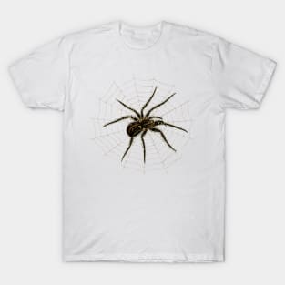 Spider art spider levels T-Shirt